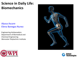 View it Here! - Worcester Polytechnic Institute