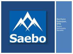 Saebo In-service Presentation