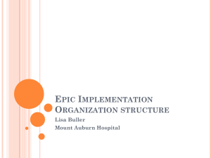 Epic Implementation: Organization Structure & Team Roles
