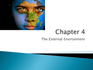 The External Environment