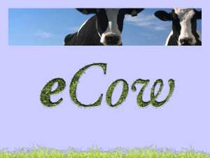 the eCow presentation