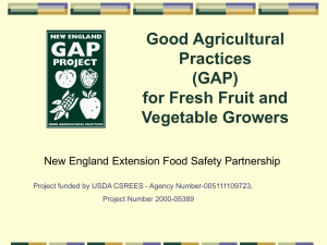 GAP and Food Security