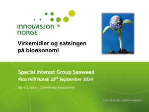 Virkemidler og satsingen på bioøkonomi Special Interest Group