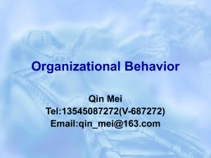 Organizational Behavior (OB)