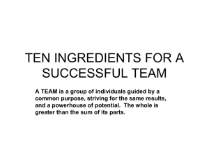 TEN INGREDIENTS FOR A SUCCESSFUL TEAM