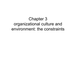 Organizational Culture & Environment: Constraints