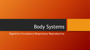 Body Systems