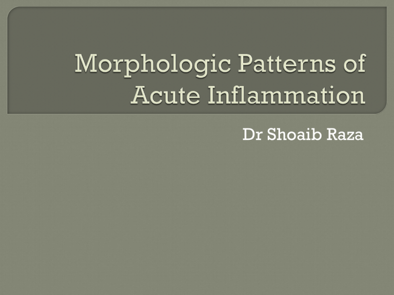 Acute & Chronic Inflammation: Morphological Patterns & Outcomes