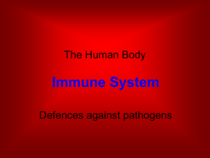 10489375-Bio_body_Immune_Sys_2