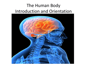 The Human Body Intro