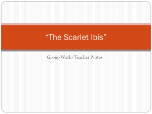 "The Scarlet Ibis" Teacher Notes & Group Work