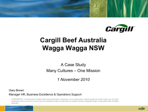 Case Study: Many cultures