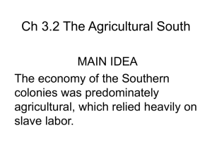 Agricultural South: Slavery & Plantation Economy