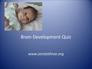 Brain Development Quiz: Facts & Misconceptions