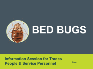 BEDBUGSINFO.ca