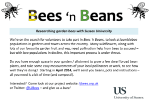 Flier