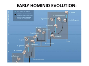 Early Hominid Evolution: Species, Timeline, and Theories