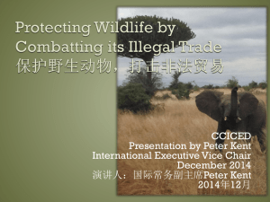 保护野生动物，打击非法贸易 - 中国环境与发展国际合作委员会