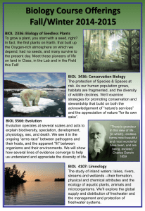 Course_Poster_Fall-2014-LLD edit - Lesley Lovett