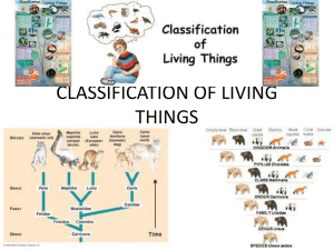Classification of Living Things: Taxonomy Presentation