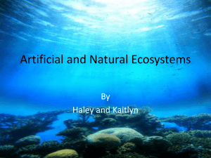 Artificial vs. Natural Ecosystems: Advantages & Disadvantages