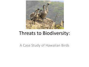 Hawaiian Bird Biodiversity: A Case Study