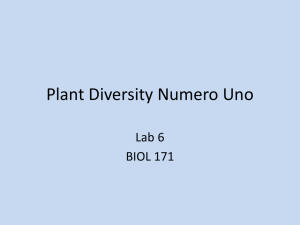 Plant Diversity: Non-Vascular & Seedless Vascular Plants