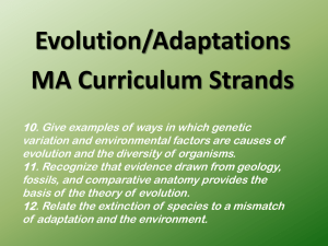 10. Give examples of ways in which genetic variation