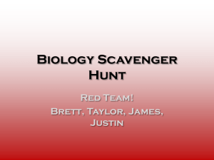Biology Scavenger Hunt