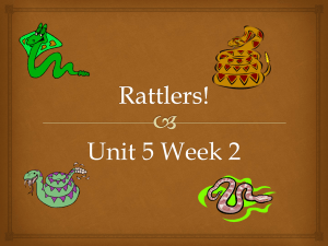 Rattlers Vocabulary