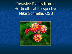 Origins of Plant Materials Both native and non