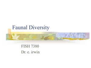 Faunal Diversity