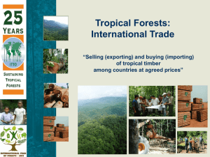 Economic Information and Market Intelligence slideshow