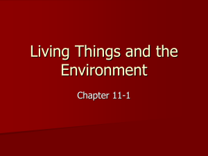 Power point 11-1