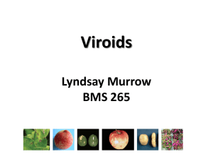Viroids: Nomenclature, Discovery, and Pathogenicity