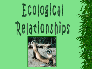 Ecology & Symbiotic Relationships: Presentation