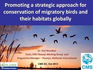 Flyways: developing an agenda for the future