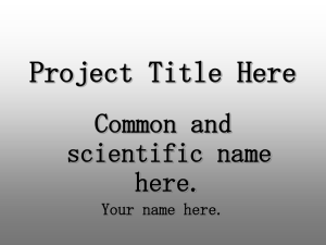 ESP.powerpoint.template - Etiwanda E