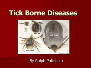 Tick Borne Diseases