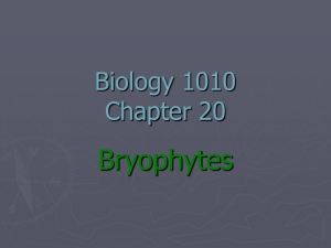 Biology 1010 Chapter 20
