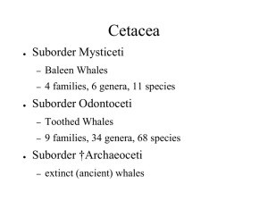Lecture 24_handout