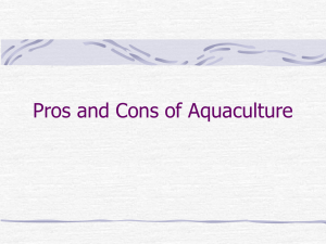 Pros and Cons of Aquaculture