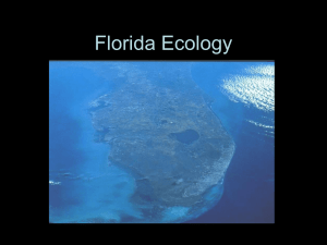 Florida Ecology powerpoint