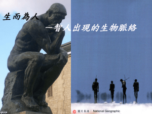 參考文件1