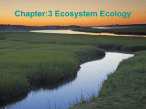 Ecosystem Ecology: Structure, Function, and Services