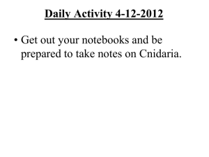 Cnidarians