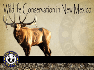 Wildlife Conservation Powerpoint Presentation
