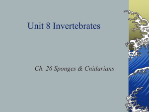 Ch.26 - Jamestown School District