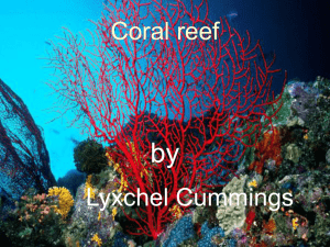 Coral Reefs - Natural Climate Change