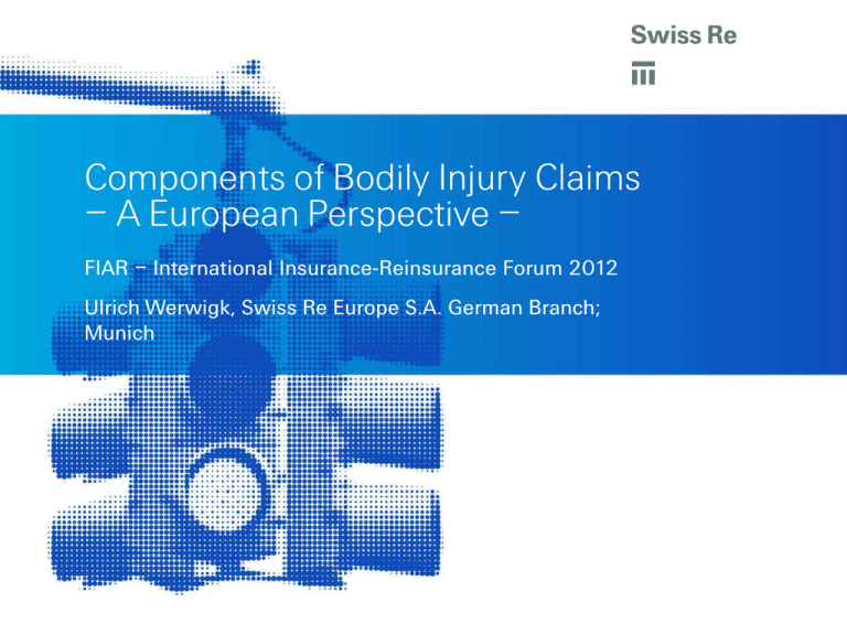 components-of-bodily-injury-claims-a-european-perspective